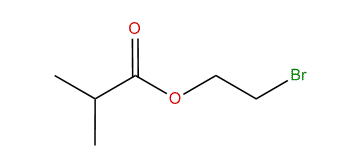 2-Bromoethyl isobutyrate